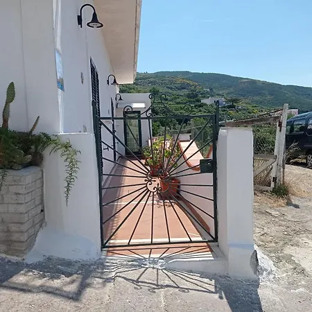 Guardia - Immobilevante * Ponza